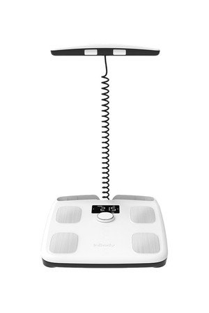 [인바디] 체지방 측정 스마트 체중계 InBody H2
