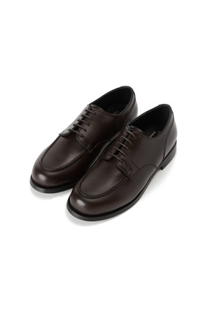 저널리스트 다크 브라운