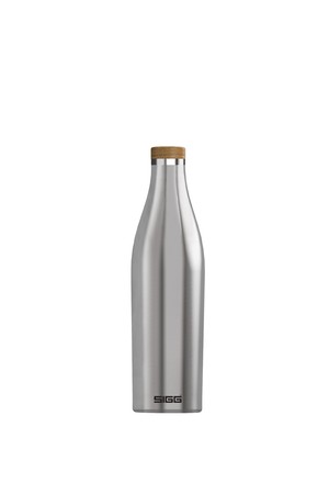 지그 메리디안 진공 워터보틀 500ml