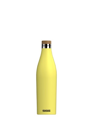 지그 메리디안 진공 워터보틀 500ml