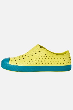 제퍼슨 슈가라이트 빅키즈_피클그린