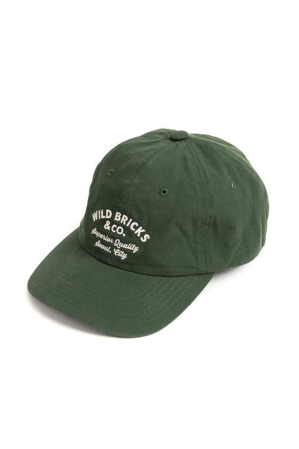 WILD BRICKS - 모자 - CT CLASSIC LOGO CAP (green)