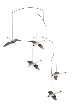 백조- Scandinavian Swans