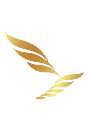 골든 리듬 - Golden Rhythm