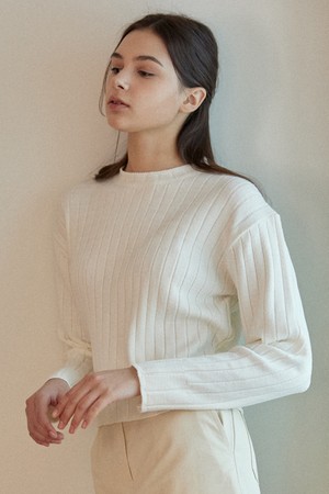 Ribbed Round Neck Knit 2Color