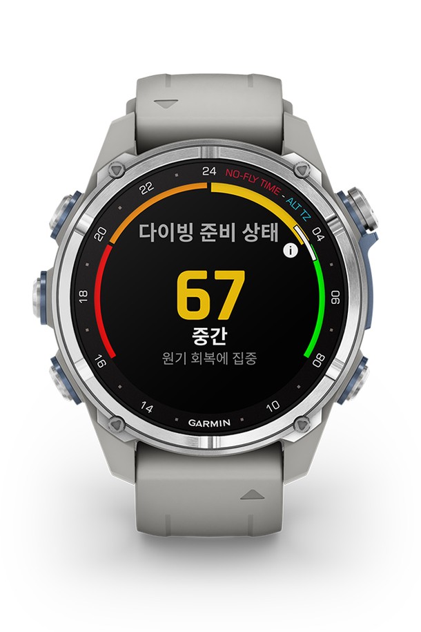 GARMIN - 기타소품 - 가민 디센트 MK3 43mm 스테인레스스틸/프로그그레이 다이빙컴퓨터