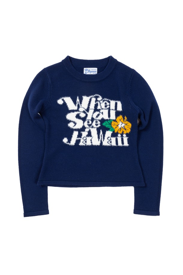 BIG WAVE - 스웨터 - [BIG WAVE] WHEN YOU SEE HAWAII KNIT (WINTER WHITE / INK BLUE)