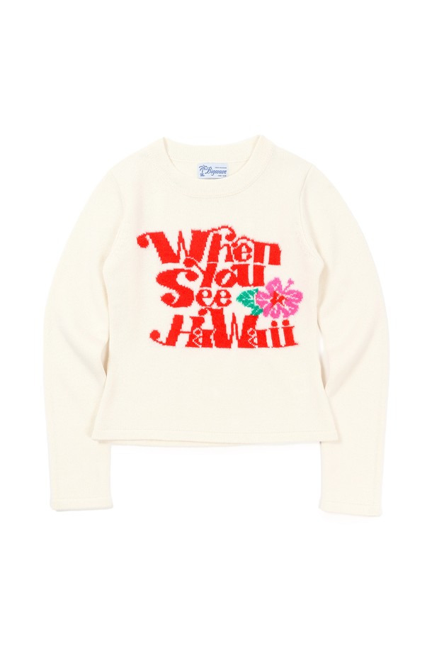 BIG WAVE - 스웨터 - [BIG WAVE] WHEN YOU SEE HAWAII KNIT (WINTER WHITE / INK BLUE)