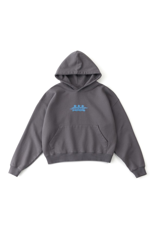 BIG WAVE - 긴소매 티셔츠 - [BIG WAVE] PENGUIN SURF CLUB CROPPED HOODIE (2 COLORS)