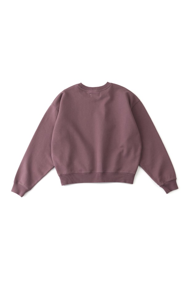 BIG WAVE - 긴소매 티셔츠 - [BIG WAVE] PENGUIN SURF CLUB CROPPED SWEATSHIRT (2 COLORS)