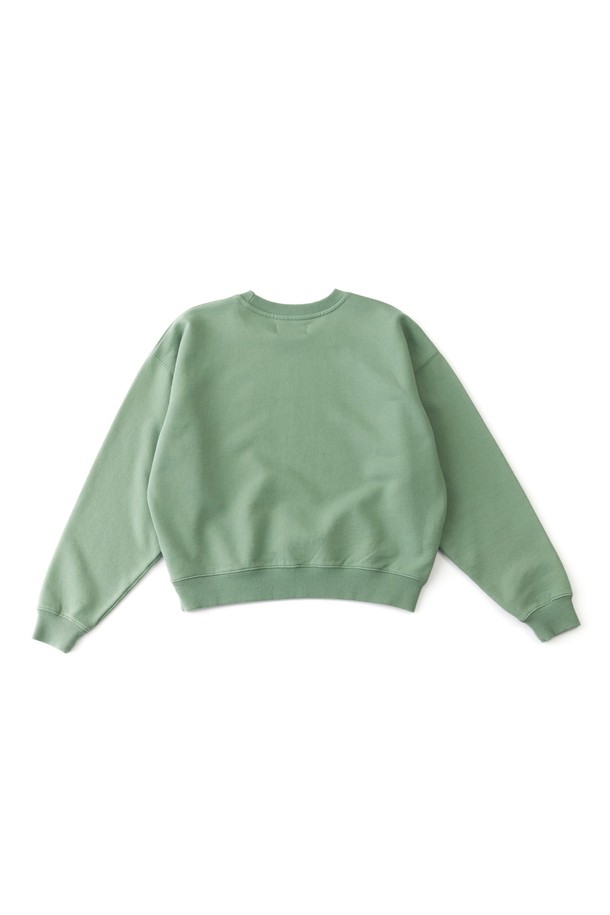 BIG WAVE - 긴소매 티셔츠 - [BIG WAVE] PENGUIN SURF CLUB CROPPED SWEATSHIRT (2 COLORS)