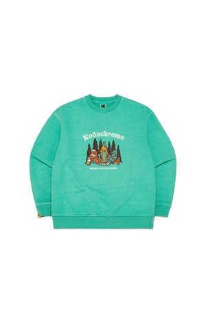 트립 그래픽 피그먼트 맨투맨 GREEN