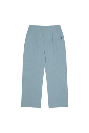 프로페셔널 웨이브 스트레이트 팬츠 MINT