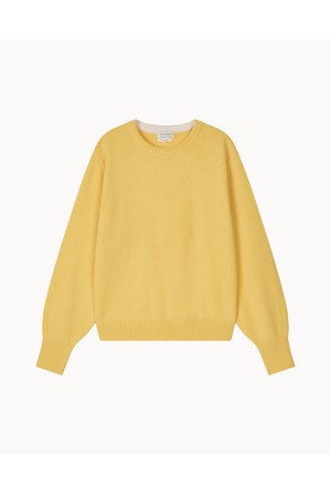 [앤투마스] 여성 F/W 볼륨 소매 크롭 니트 ABE4FSR460 옐로우_NOCOLOR-a