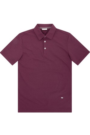 남성 아이스폴리 카라 반팔 티셔츠 와인 (AM0DKS20179)