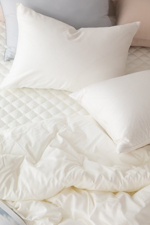 [소프라움앤] 사르르 면모달 베개커버 50X70 (6컬러)