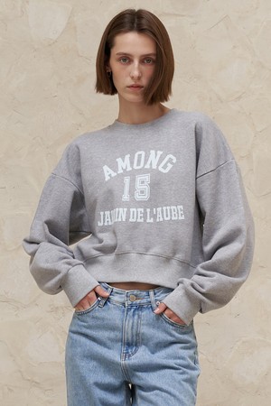 A AMONG 15 SWEATSHIRT_GREY