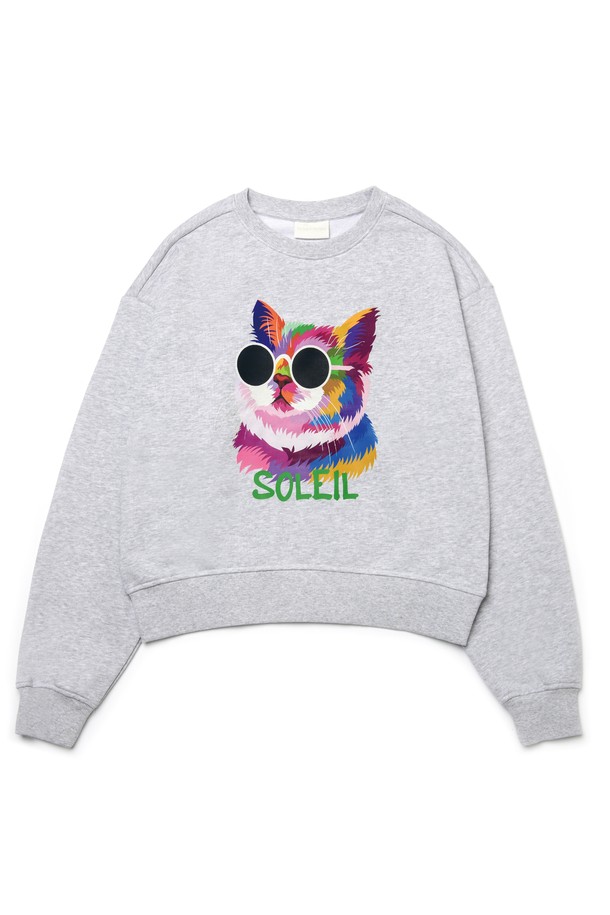 Le Soleil Matinee - 스웻셔츠 - [기모 옵션] Fancy Light Cat Sweat Shirts [MELANGE GREY]