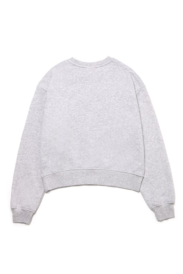 Le Soleil Matinee - 스웻셔츠 - [기모 옵션] Doodle Camellia Sweat Shirts [MELANGE GREY]