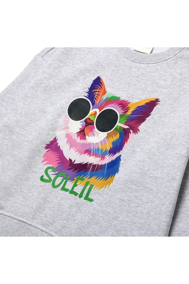 Le Soleil Matinee - 스웻셔츠 - [기모 옵션] Fancy Light Cat Sweat Shirts [MELANGE GREY]