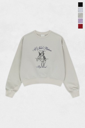 [기모 옵션] Celestial Grace Graphic Sweat Shirts (5컬러)