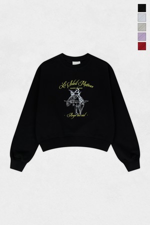 [기모 옵션] Celestial Grace Graphic Sweat Shirts (5컬러)