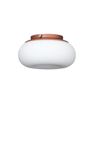 [아고] 모찌 직부 스몰