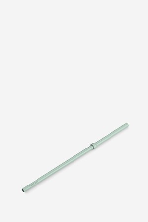 펠로우 카터 콜드 스트로우 16oz - 민트 칩