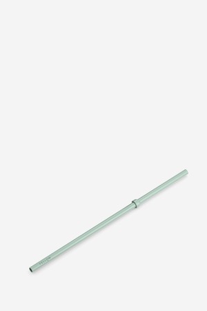 펠로우 카터 콜드 스트로우 20oz - 민트 칩