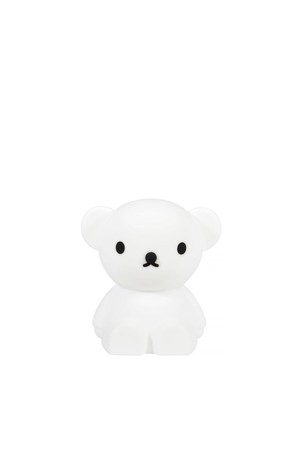 F라이트보리스14x20x21