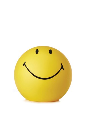 D라이트스마일리45x45x40