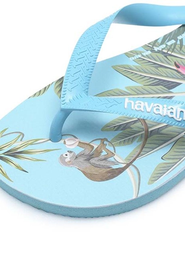 HAVAIANAS - 남성 샌들 / 슬리퍼 - 하바이아나스 트레디셔널 4147113-0031