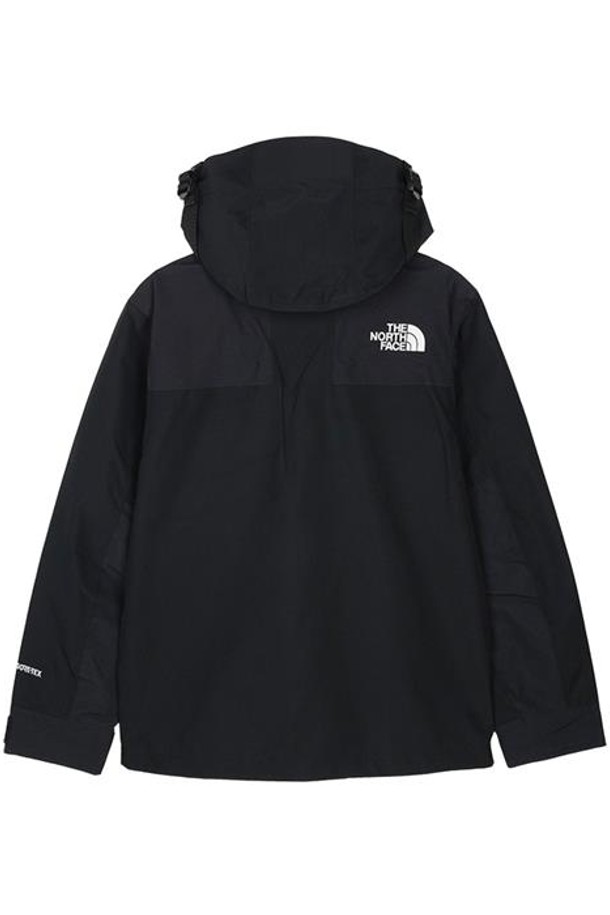 THE NORTH FACE - 아노락/바람막이 - 노스페이스 에코 고어텍스 마운틴 자켓 블랙 NJ2GQ50C