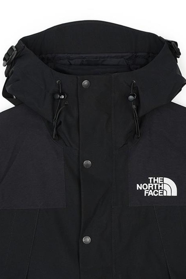 THE NORTH FACE - 아노락/바람막이 - 노스페이스 에코 고어텍스 마운틴 자켓 블랙 NJ2GQ50C