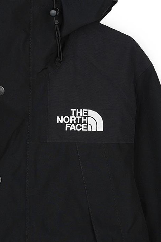 THE NORTH FACE - 아노락/바람막이 - 노스페이스 에코 고어텍스 마운틴 자켓 블랙 NJ2GQ50C