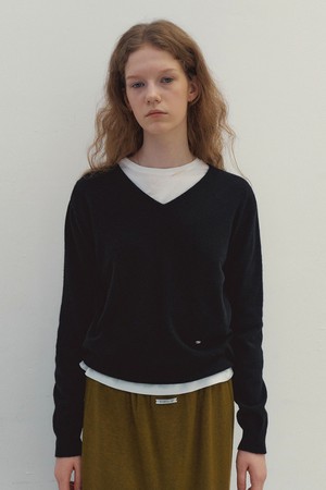 Classic Wool V-neck Knit (Black)