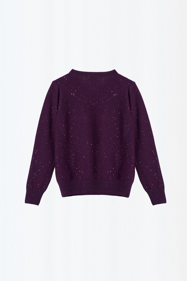 BCBG - 스웨터 - [24WT] 스팽글 울 브이넥 니트 - DARK PURPLE B4W9K41164