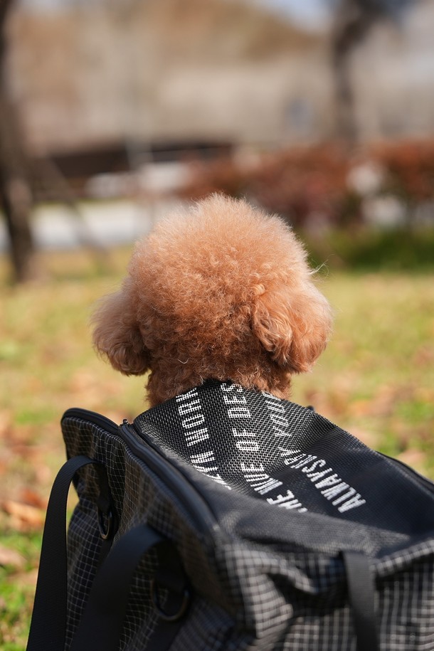 BW 펫 토트백은 캔버스 소재의 미디엄 사이즈 사각 토트백입니다. 무지 디자인에 지퍼형 잠금 방식으로, 반려동물의 안전한 이동을 돕습니다. 손잡이가 있어 편리하게 휴대할 수 있으며, 화이트 컬러로 깔끔한 디자인을 자랑합니다. 펫과 함께 편안하고 스타일리시한 외출을 즐길 수 있도록 제작되었습니다.

