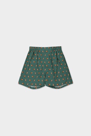 리틀 폭스 박서 (그린) (BBAUMNF501)