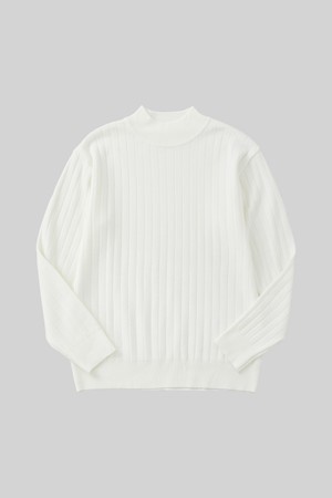 솔리드 하프넥 골지 니트 DNIT101