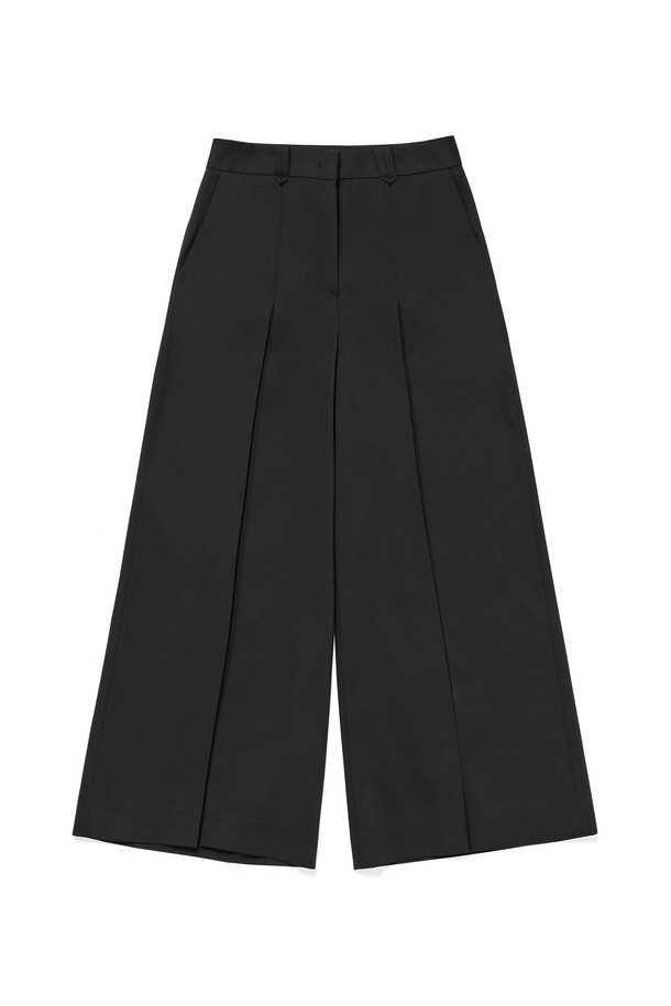 RENEJ - 롱/미디팬츠 - Pleated Wide Trousers