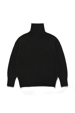 Air Wool Turtleneck Knit