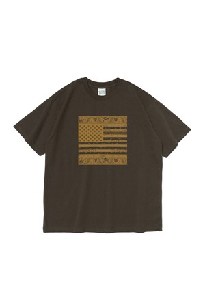 (BIG SIZE) AMERICAN PAISLEY STREET SHORT SLEEVE T-SHIRT (KHAKI)