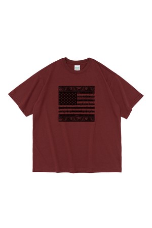 (BIG SIZE) AMERICAN PAISLEY STREET SHORT SLEEVE T-SHIRT (WINE)