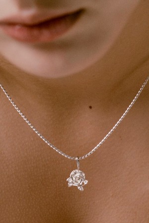 White rose snake