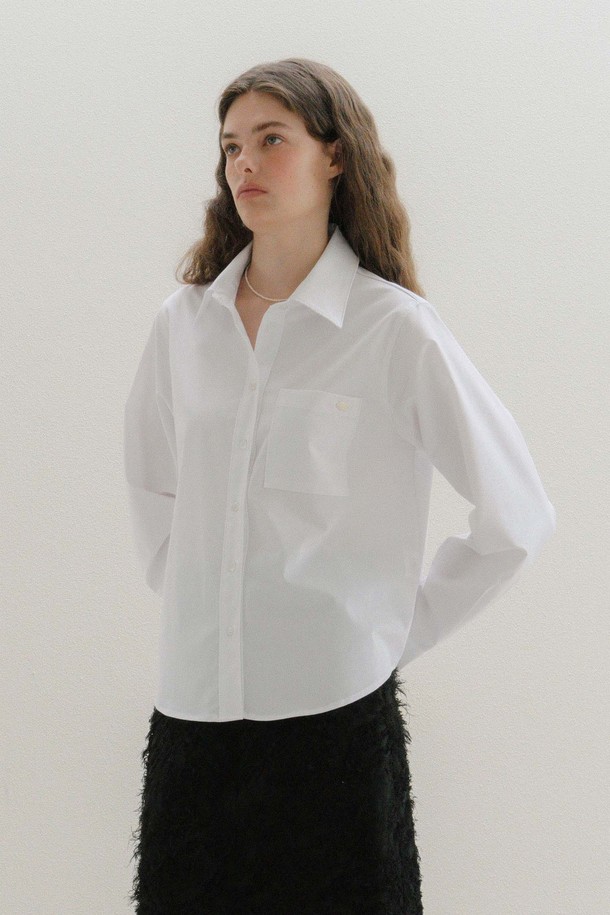 ANEDIT - 셔츠 - U Wrinkle Free Regular Shirt_3colors