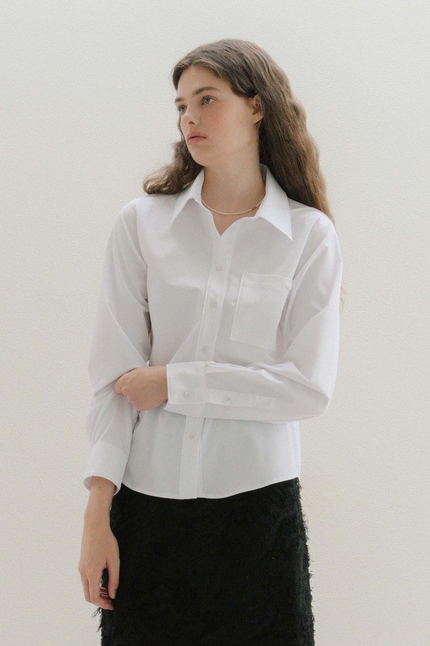 ANEDIT - 셔츠 - U Wrinkle Free Regular Shirt_3colors