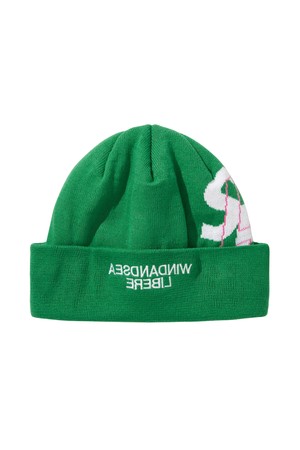 WDS X LIBERE BEANIE / GREEN