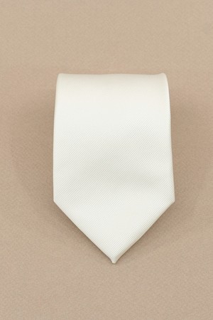 에스티브라운 웨딩 아이보리 모음