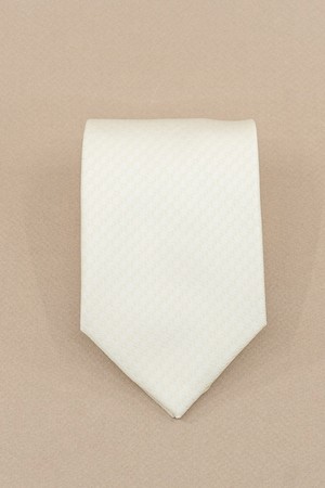 에스티브라운 웨딩 아이보리 모음